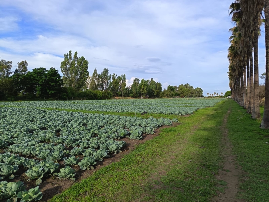 4 Bedroom Property for Sale in Mooinooi North West